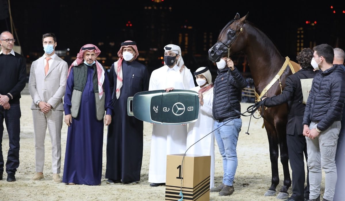 HorseFestival
