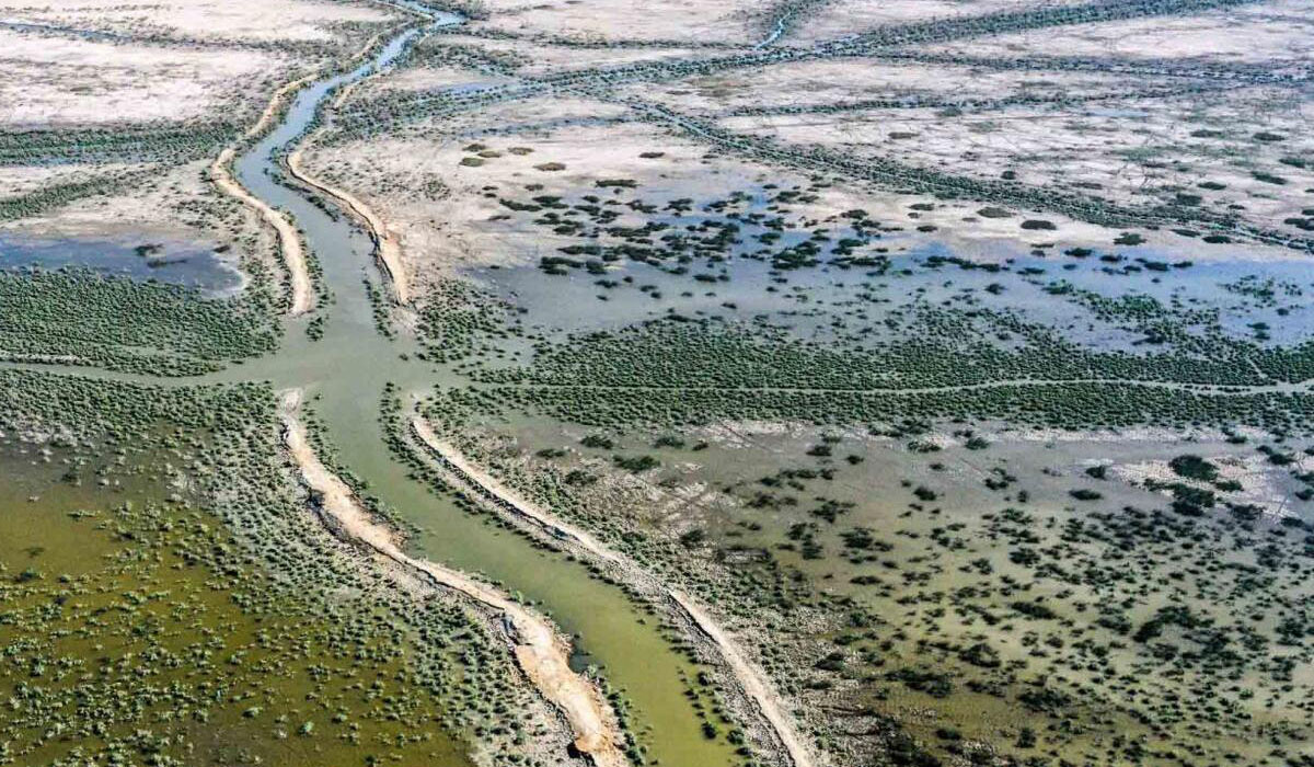 The drying Chibayesh marshland due to climate crisis