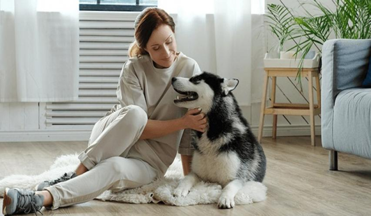 Top 5 Things to Look for in a Dog-Friendly Apartment